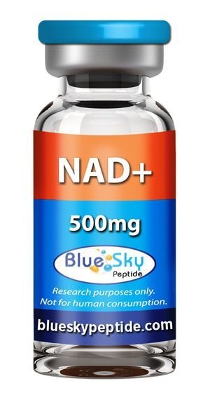 NAD+ 500mg